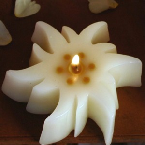 Edelweiss Kerze gross Modell