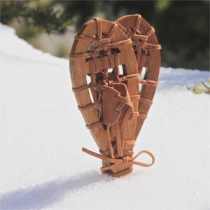 Pair of snow shoes