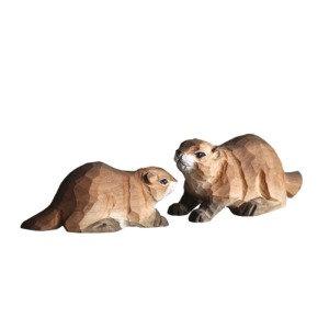Couple de marmottes couchées