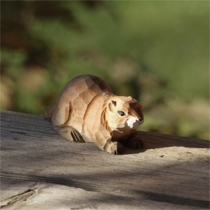 Couple de marmottes couchées