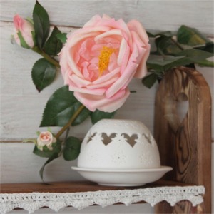 Grande rose rose avec boutons h : 82 cm