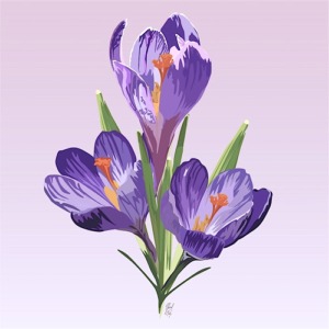 Cadre crocus