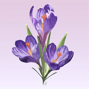 Cadre crocus