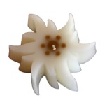 Small edelweiss candle non perfumed