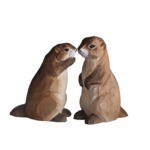 Standing couple of marmot