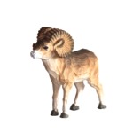 wooden mouflon
