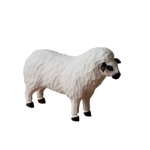 wooden sheep