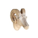 Wooden mouflon head