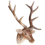 Wooden stag head