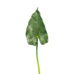 Blatt grün 76cm